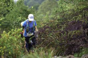 BIB: 3453
                            <button type="button" onclick="openModal(24760556)" class="btn btn-primary btn-sm float-right btn-popup" data-toggle="modal" data-target=".modal-high-quality">
                        <i class="fas fa-shopping-cart"></i> Add to Cart
                    </button>
                                            <button type="button" onclick="isThisMe(24760556, true)" class="btn btn-success btn-sm float-right btn-popup btn-isme hidden" data-toggle="tooltip" data-placement="bottom" title="นี่คือรูปของคุณใช่ไหม คลิกที่นี่เพื่อเอาเข้าอัลบั้ม">
                        <i class="fas fa-plus"></i> Add to album
                    </button>
                    <button type="button" onclick="isThisMe(24760556, false)" class="btn btn-warning btn-sm float-right btn-popup btn-isnotme hidden">
                        <i class="fas fa-ban"></i> Remove from album
                    </button>